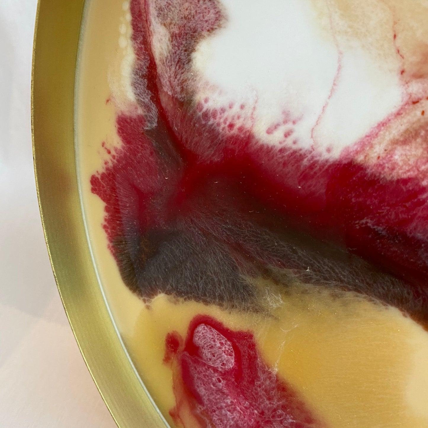 Serveerschaal Anna - Roze