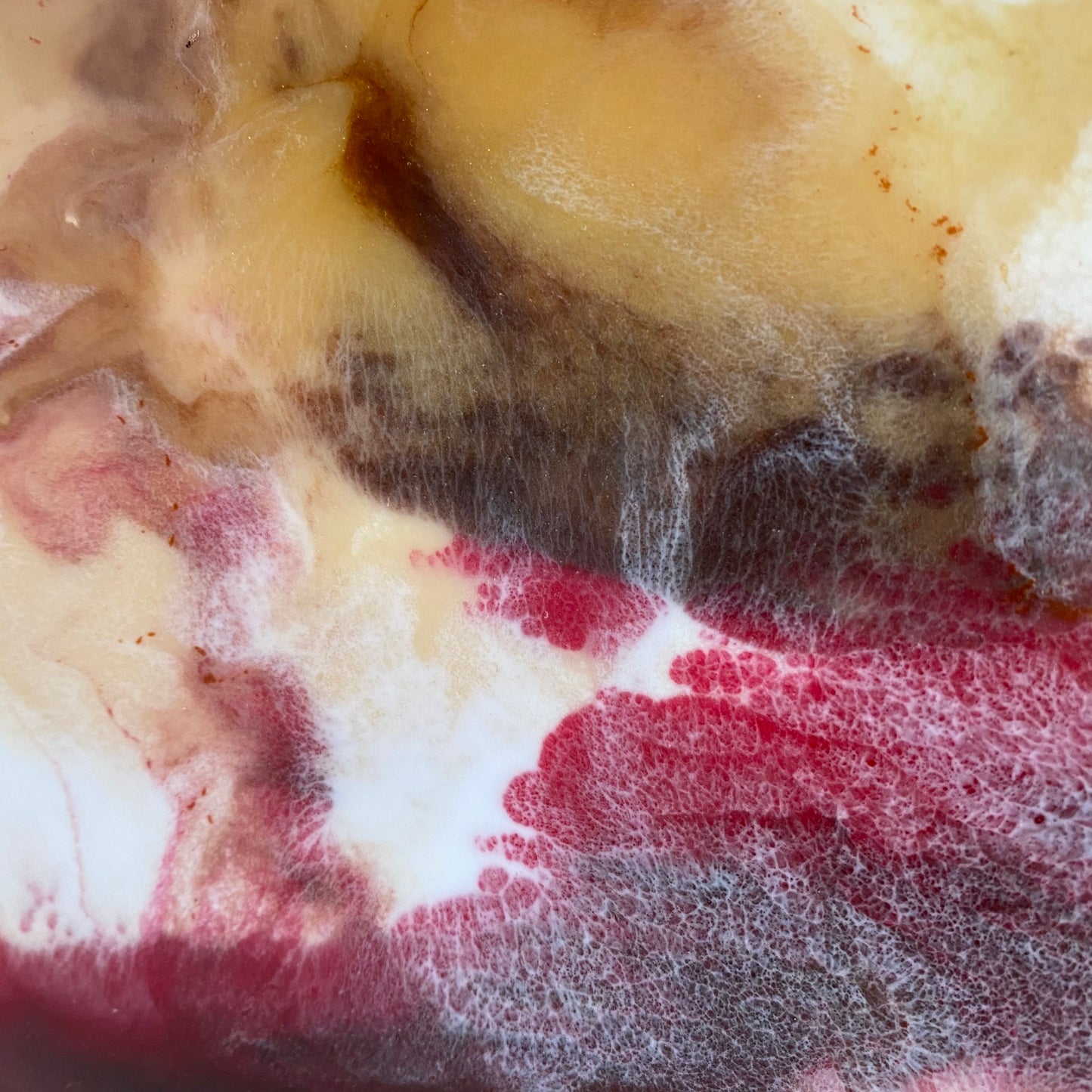 Serveerschaal Anna - Roze